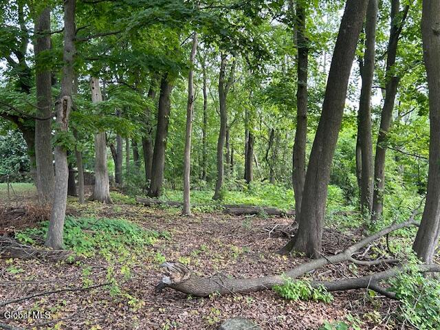 21 Purtell Avenue Latham NY 12110