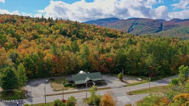 3195 Ny-28 North Creek NY 12853
