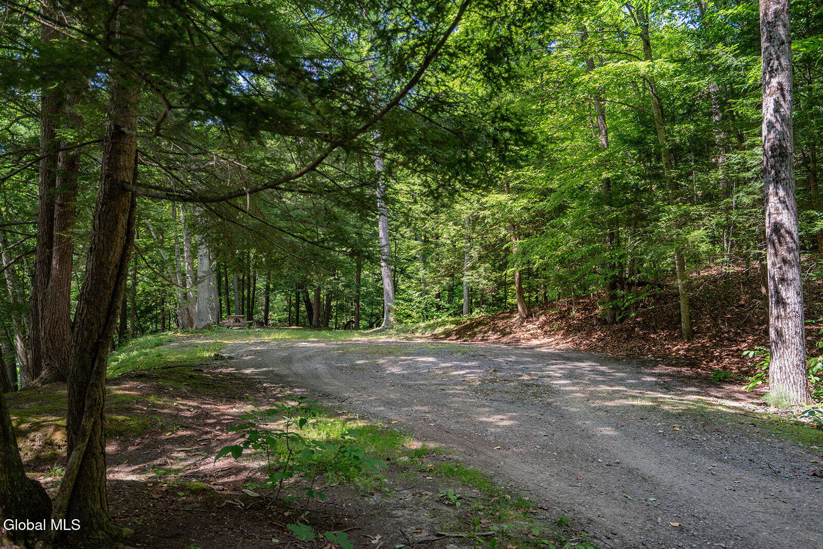 213 Fiddlers Elbow Road Greenwich NY 12834