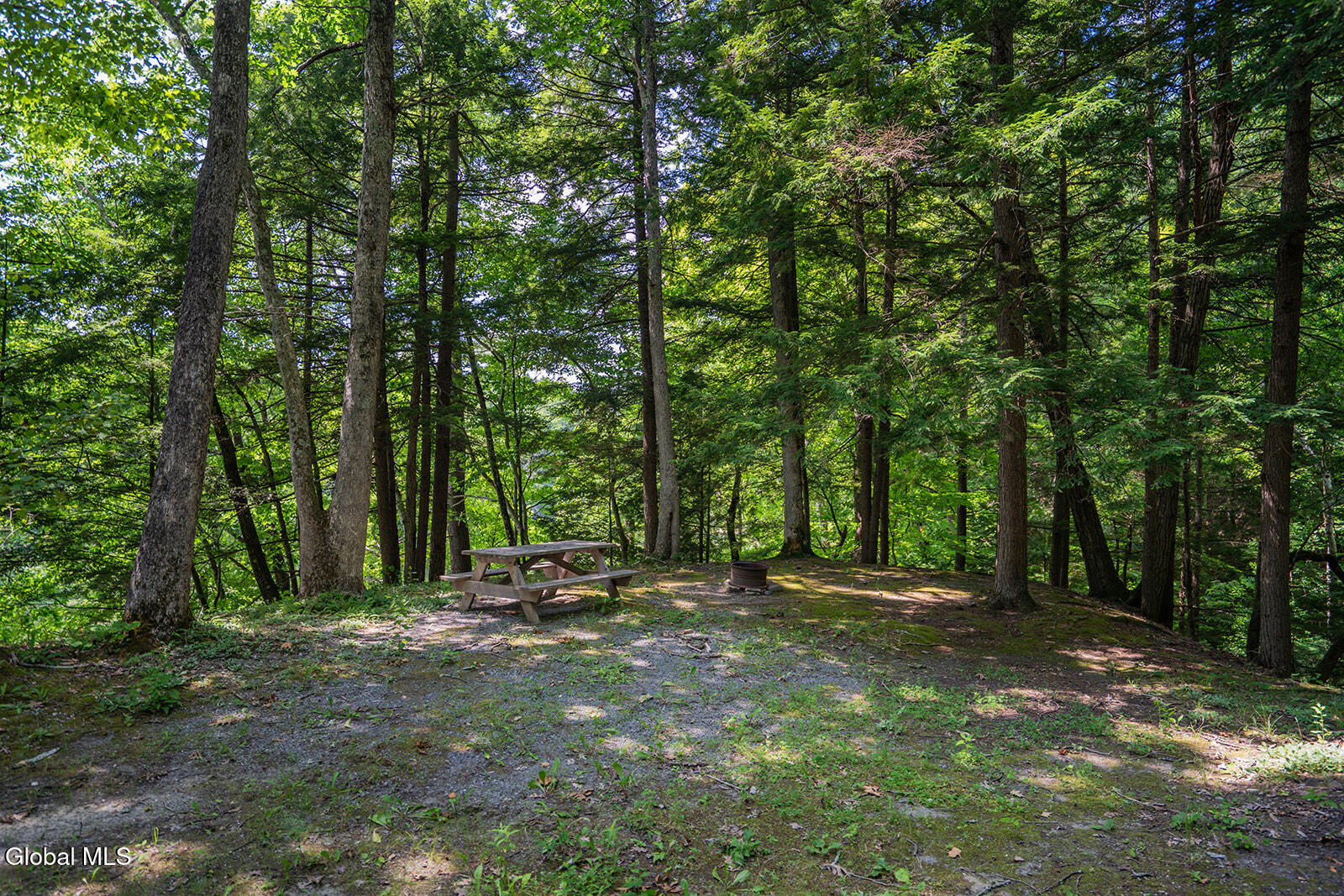 213 Fiddlers Elbow Road Greenwich NY 12834