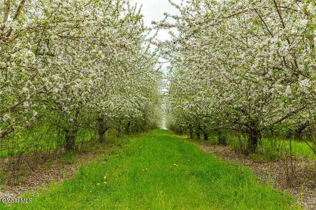 6700 Dunnsville Road Guilderland NY 12009
