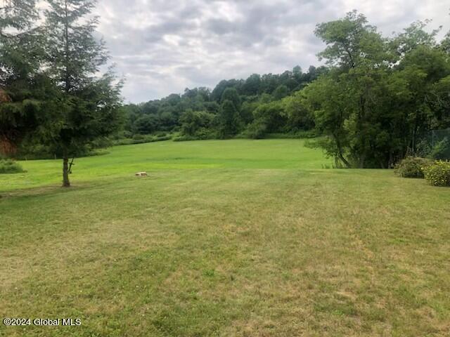 527 N Perry Street Johnstown NY 12095