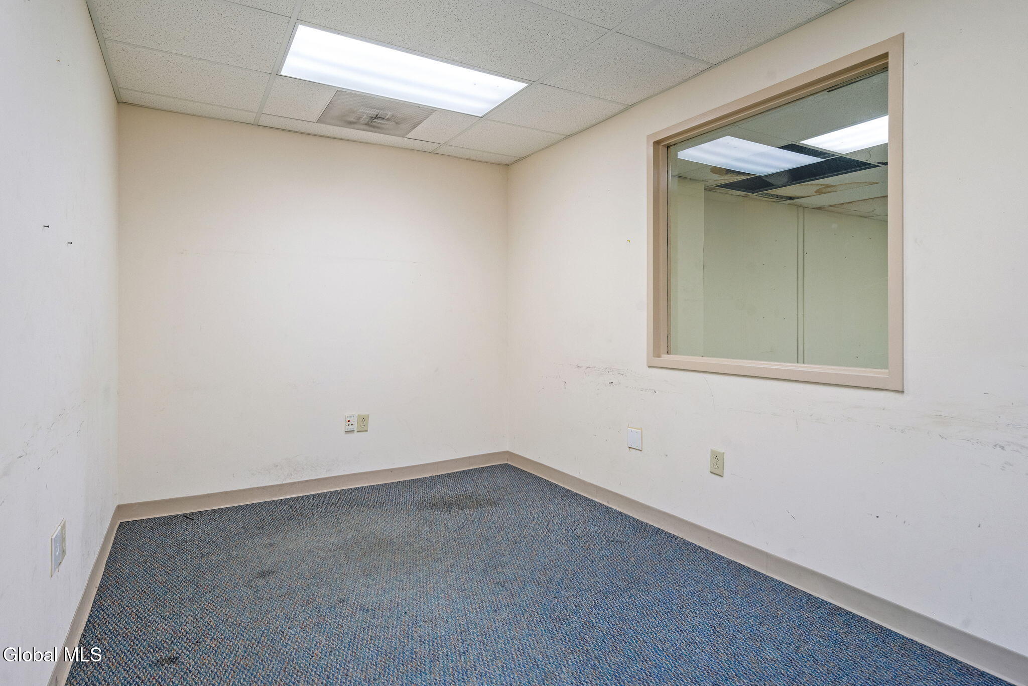 233 Central Avenue Albany NY 12206