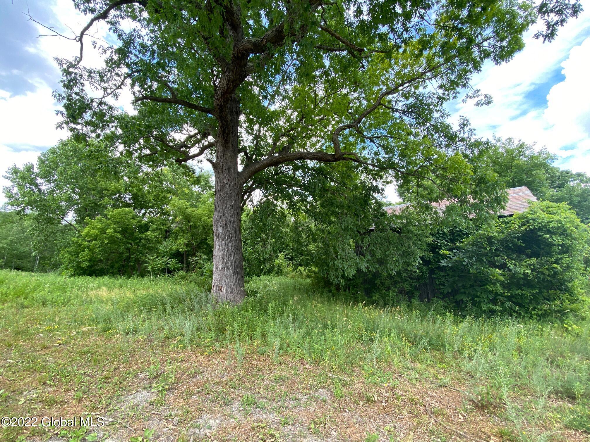 L 30.111 Newtown Road Halfmoon NY 12118