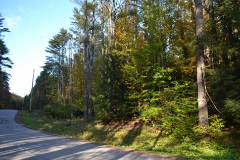 L8.28 Hendricks Road Bolton Landing NY 12814