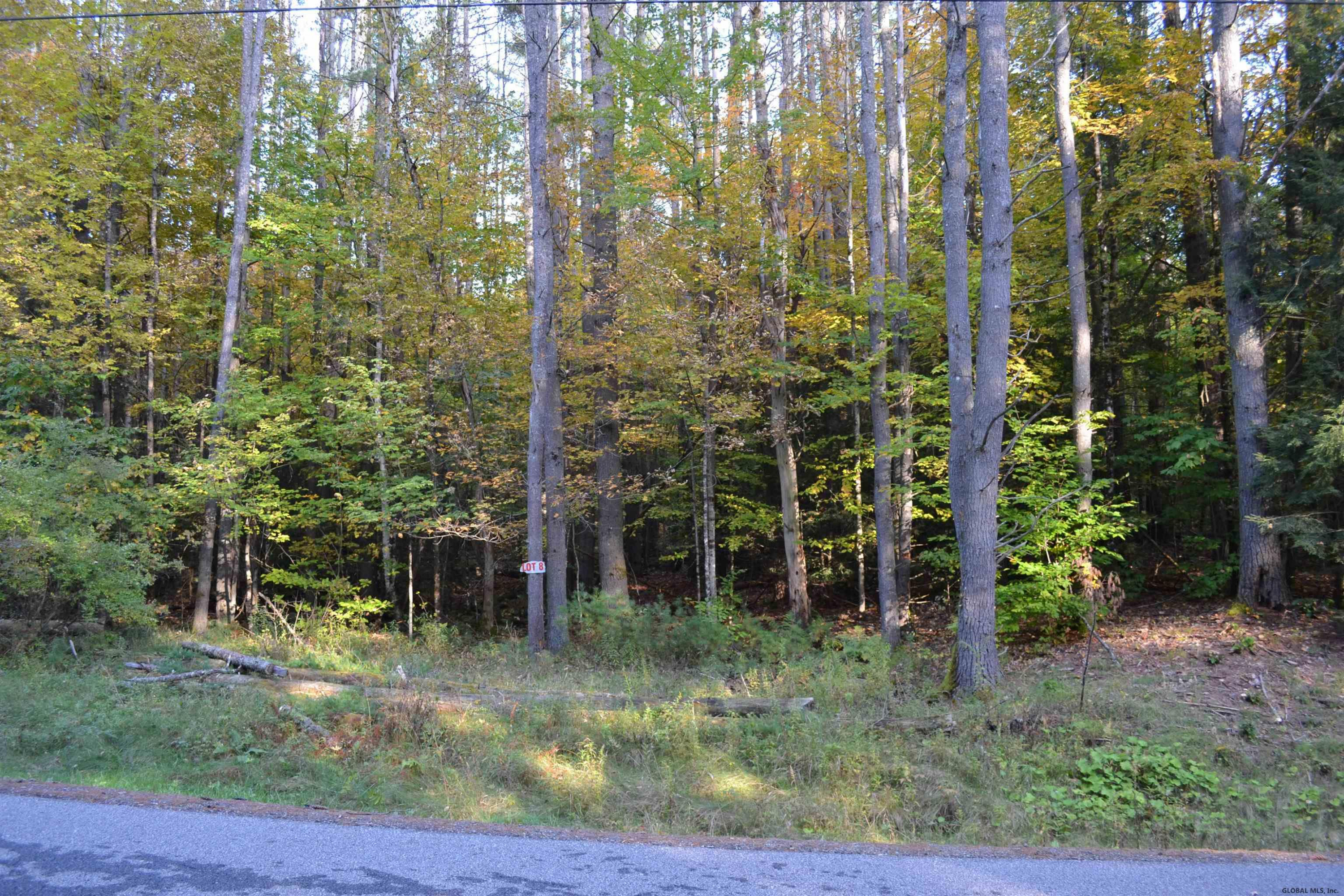 L8.28 Hendricks Road Bolton Landing NY 12814