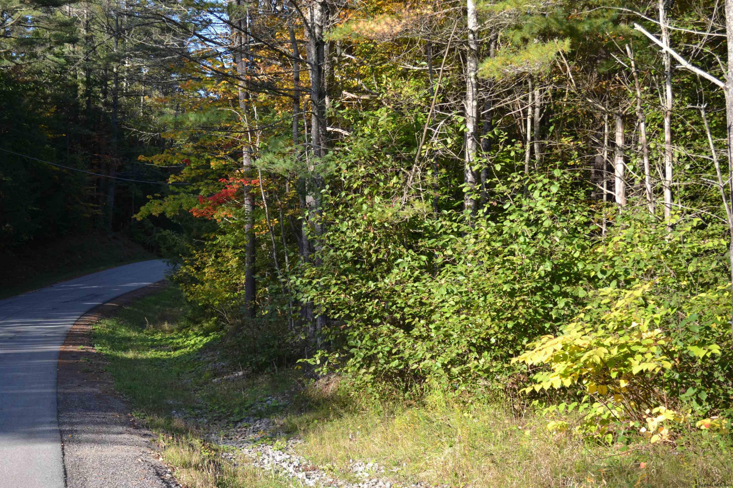 L8.28 Hendricks Road Bolton Landing NY 12814