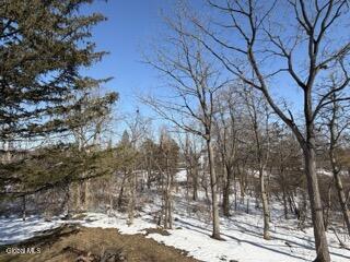 8874 Route 9w Athens NY 12015