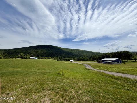 1007 New York 990v Gilboa NY 12076