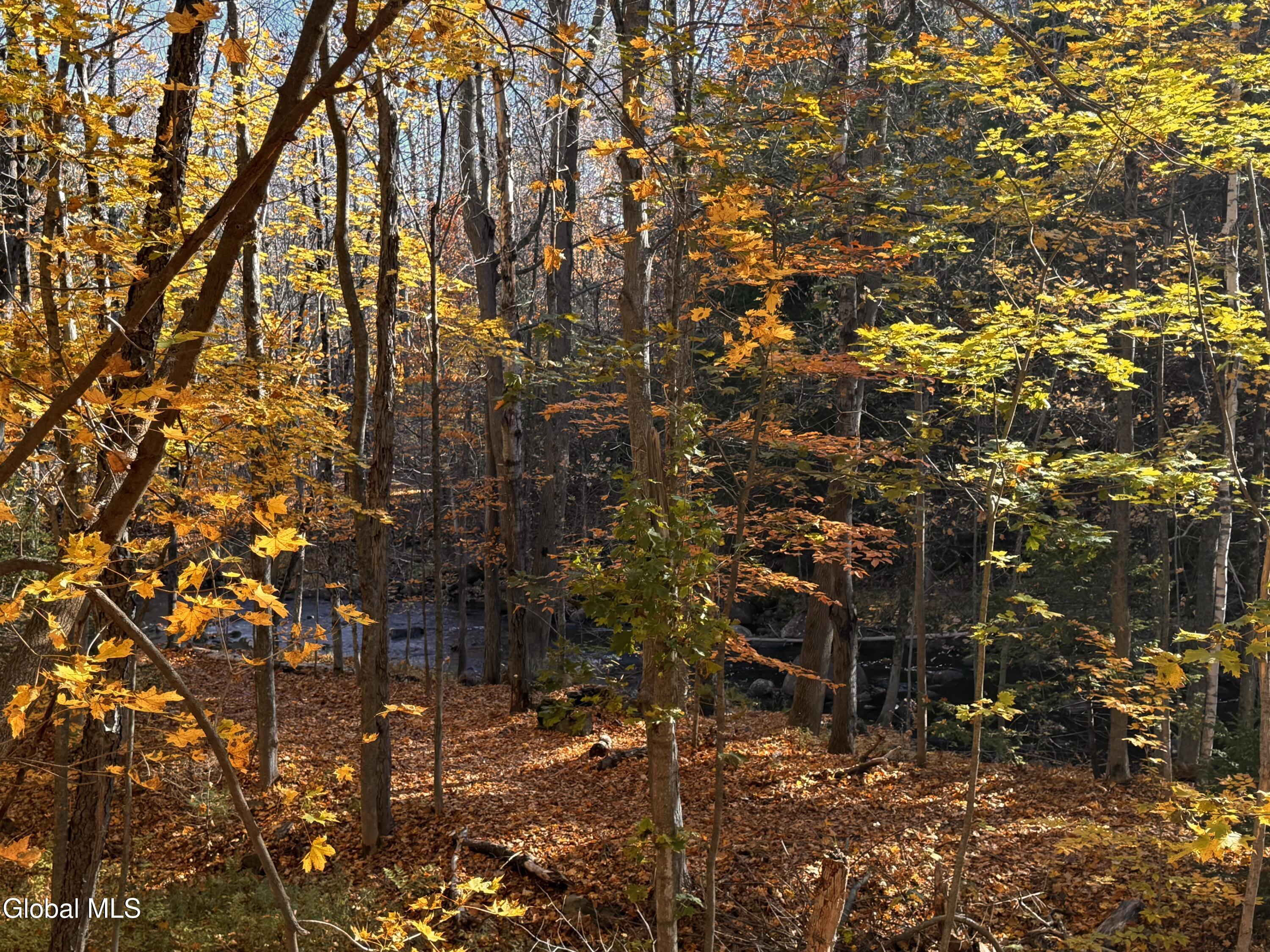44 State Route 28n North Creek NY 12853