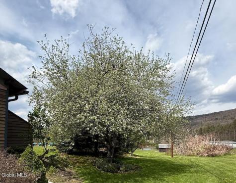 6964 River Road Downsville NY 13755