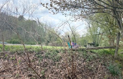 6964 River Road Downsville NY 13755