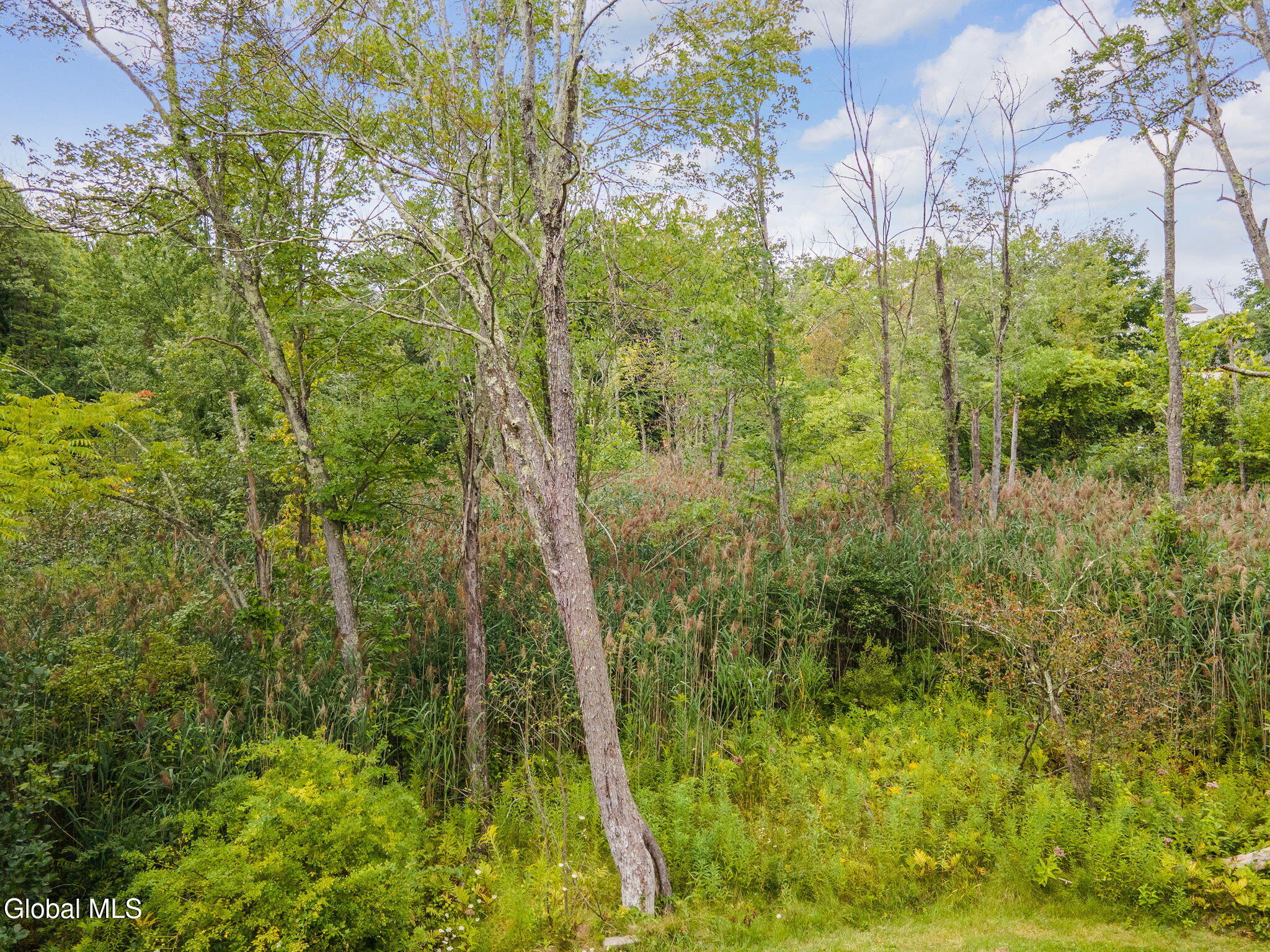 3287 Ny Highway 43 Averill Park NY 12018
