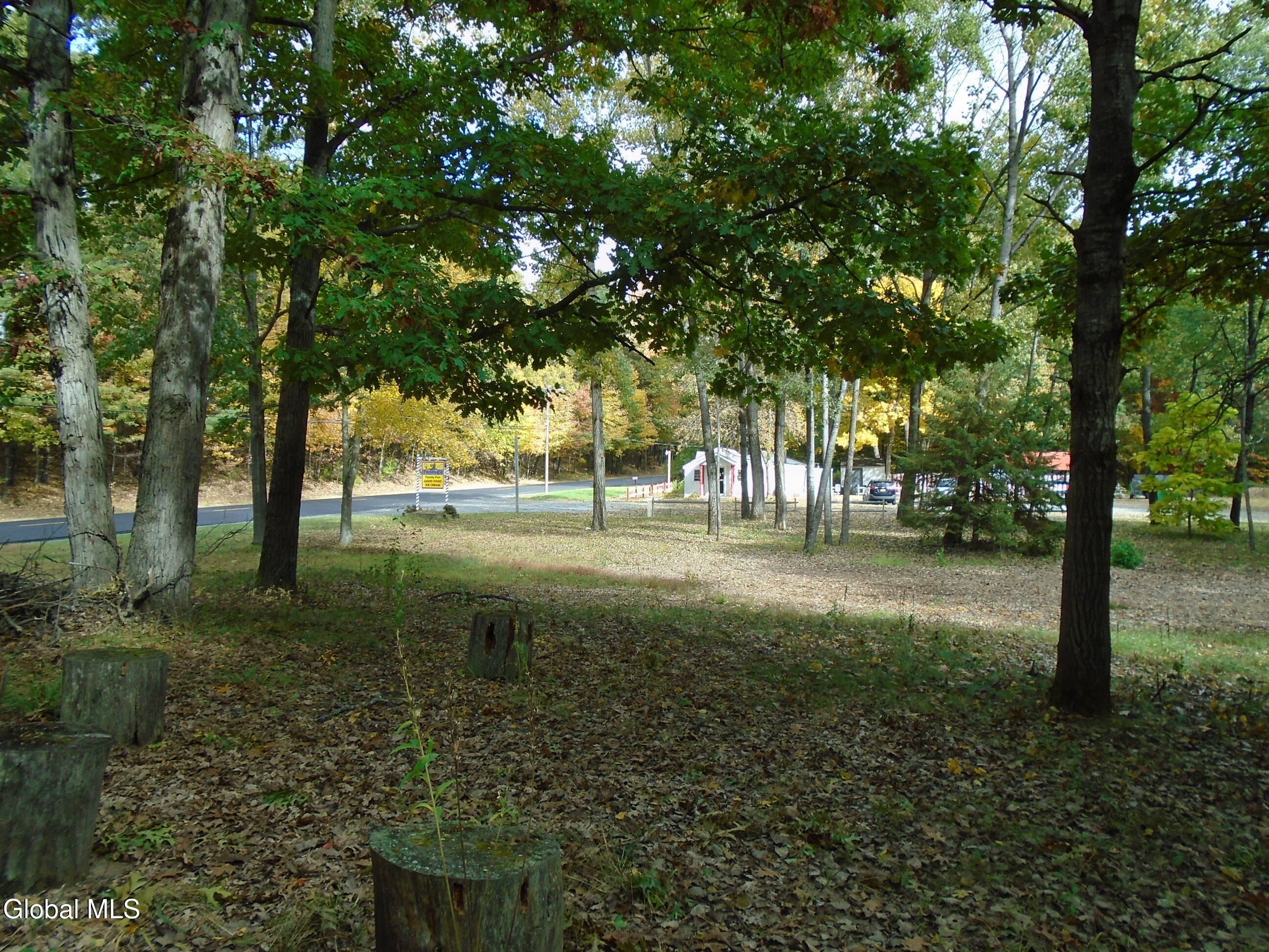 588 Lake Avenue Saratoga Springs NY 12866