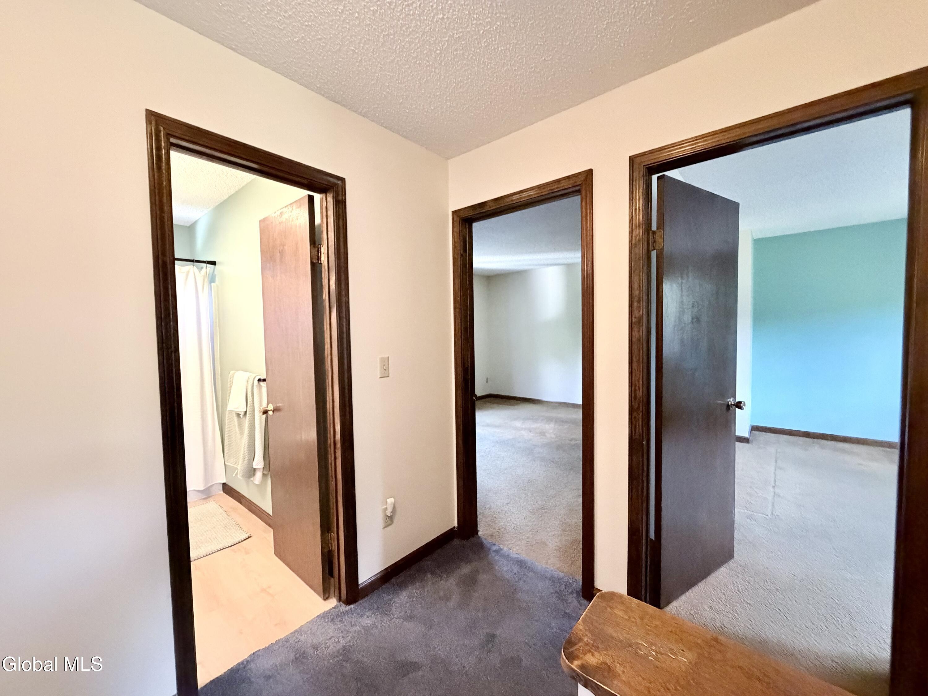 54 Velina Drive Albany NY 12203