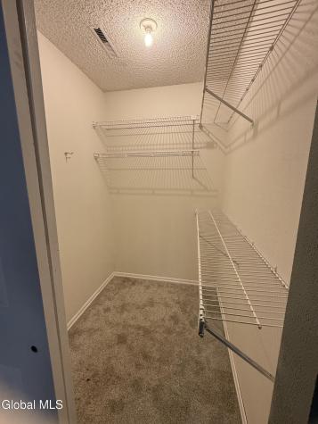 8 Schuyler Court Halfmoon NY 12065