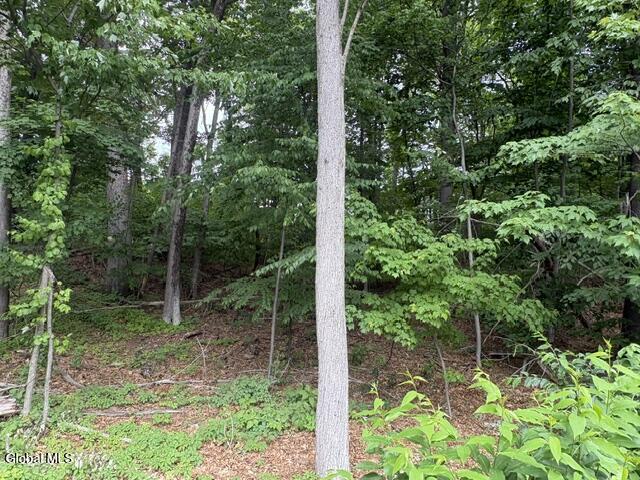 237 Thimbleberry Road Malta NY 12020