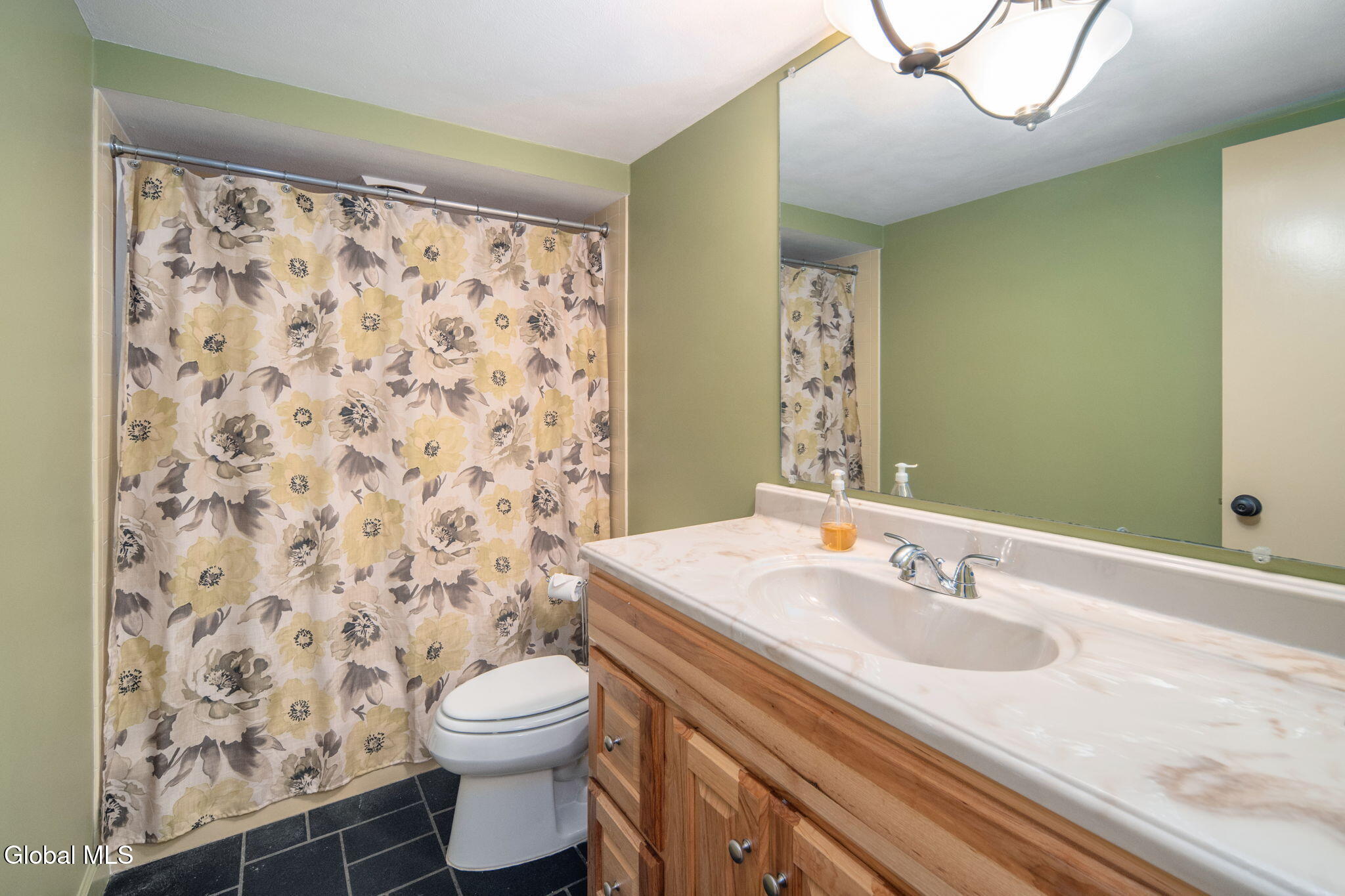 22 Spruce Court Delmar NY 12054