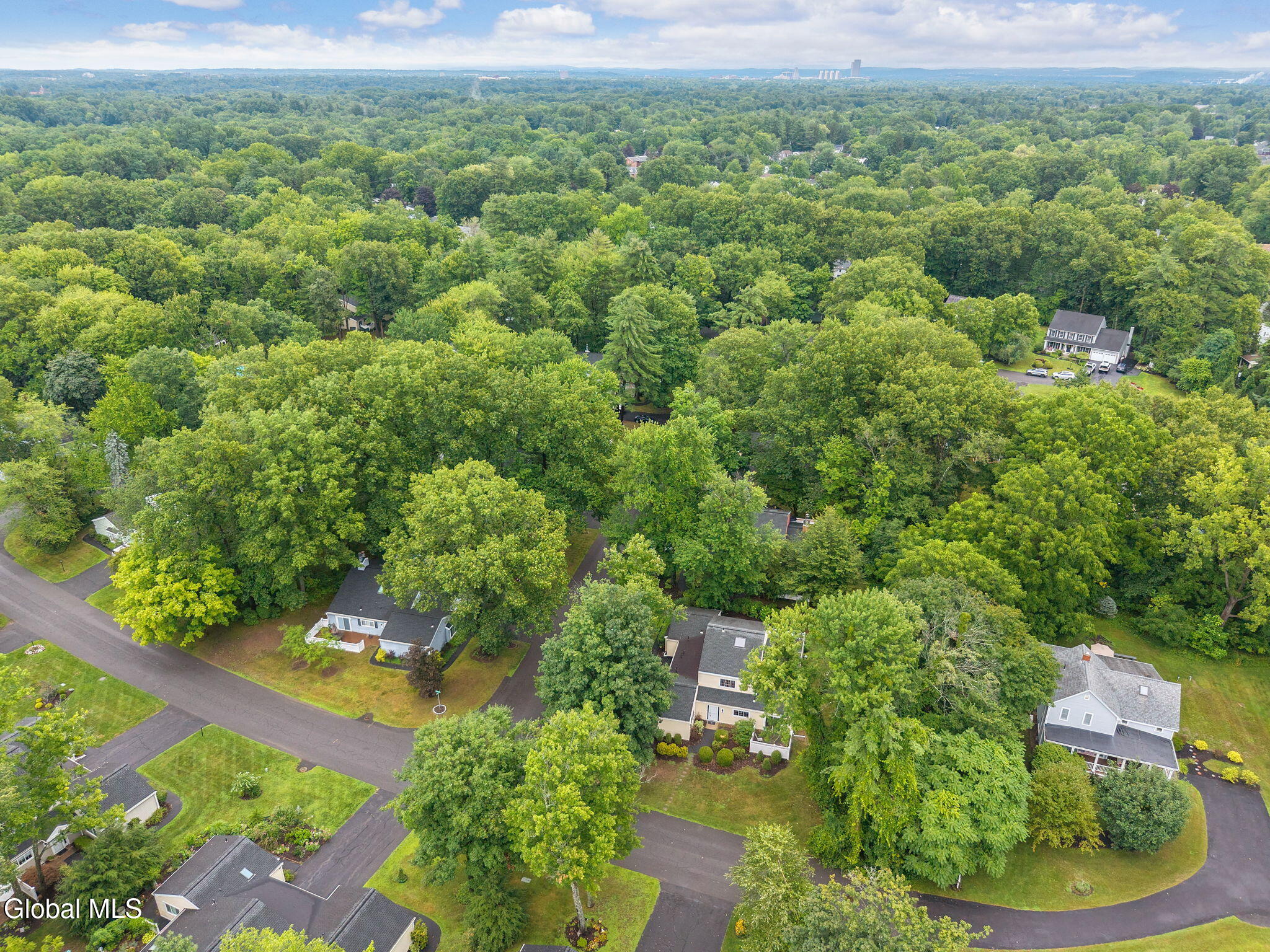 22 Spruce Court Delmar NY 12054