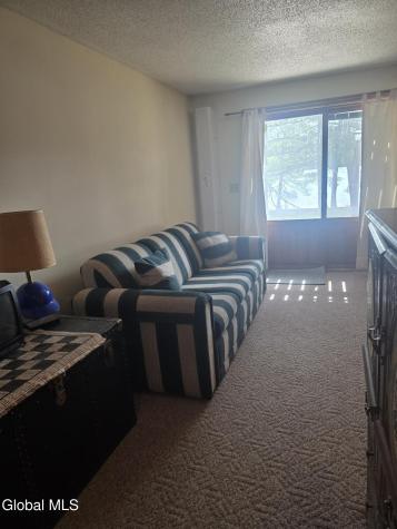 100 Crystal Lake Drive Brant Lake NY 12815