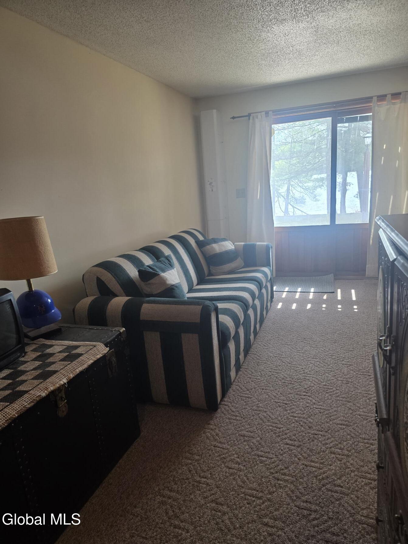 100 Crystal Lake Drive Brant Lake NY 12815