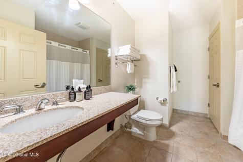 62 Liftside Drive Hunter NY 12442