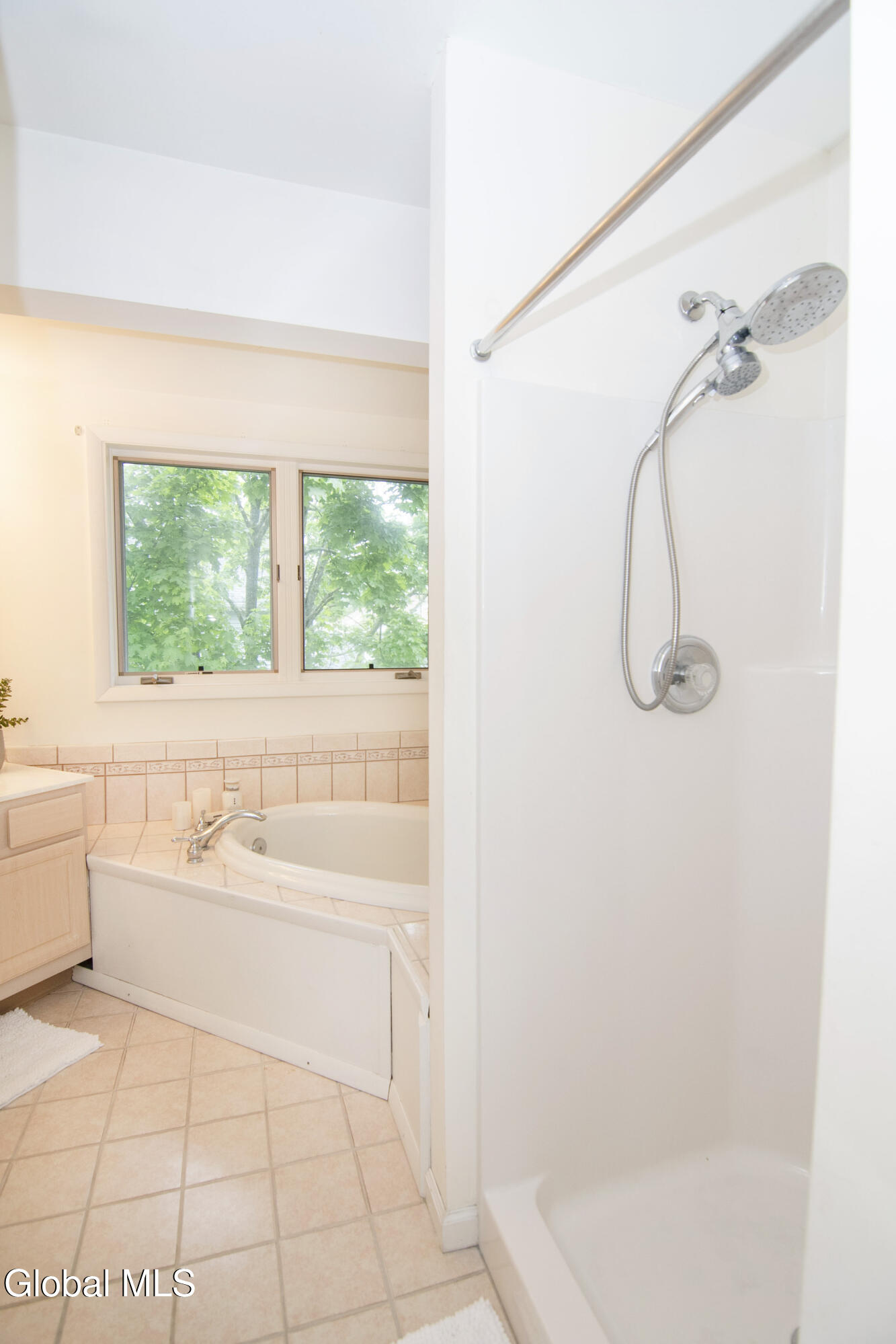 69 Belmont Drive Saratoga Springs NY 12866