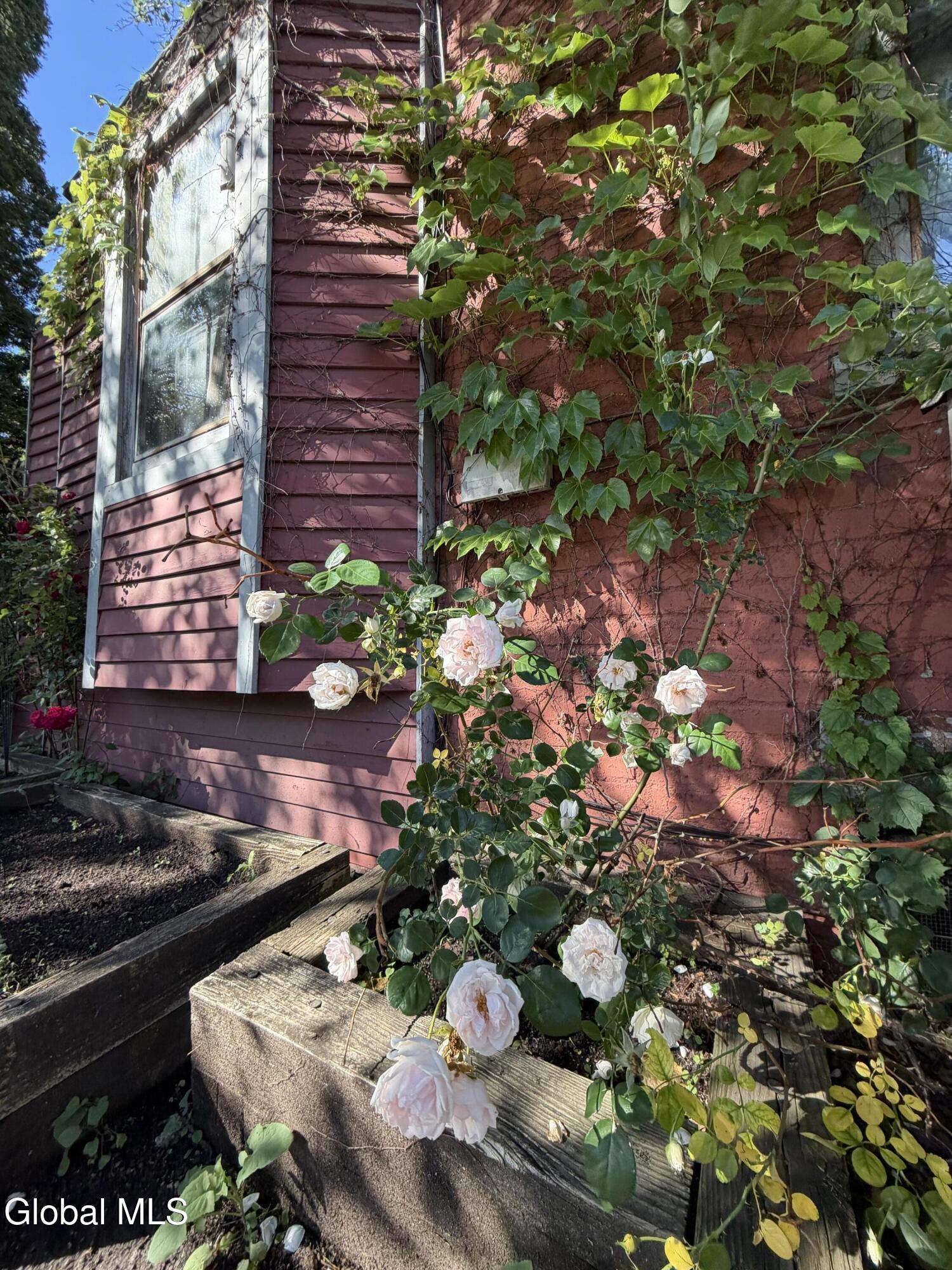 161.5 Lark Street Albany NY 12210