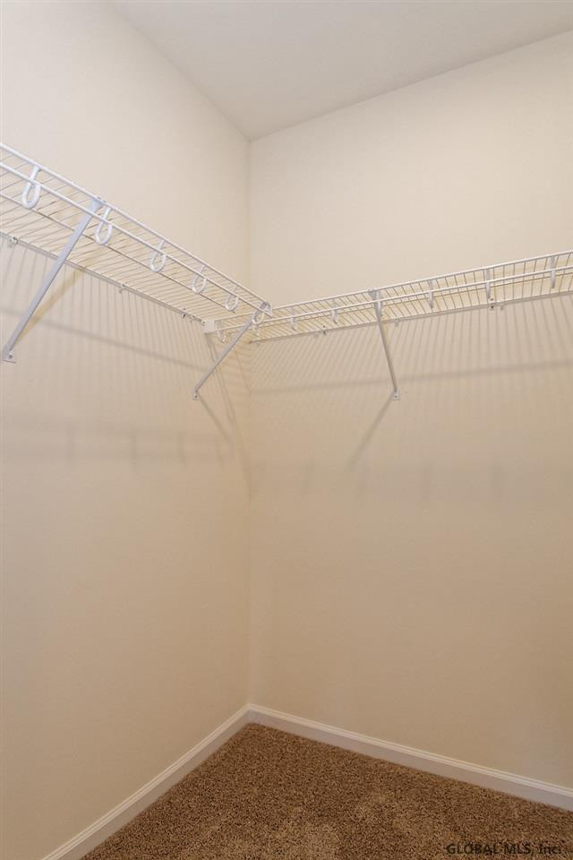 1C Michael Court Troy NY 12180