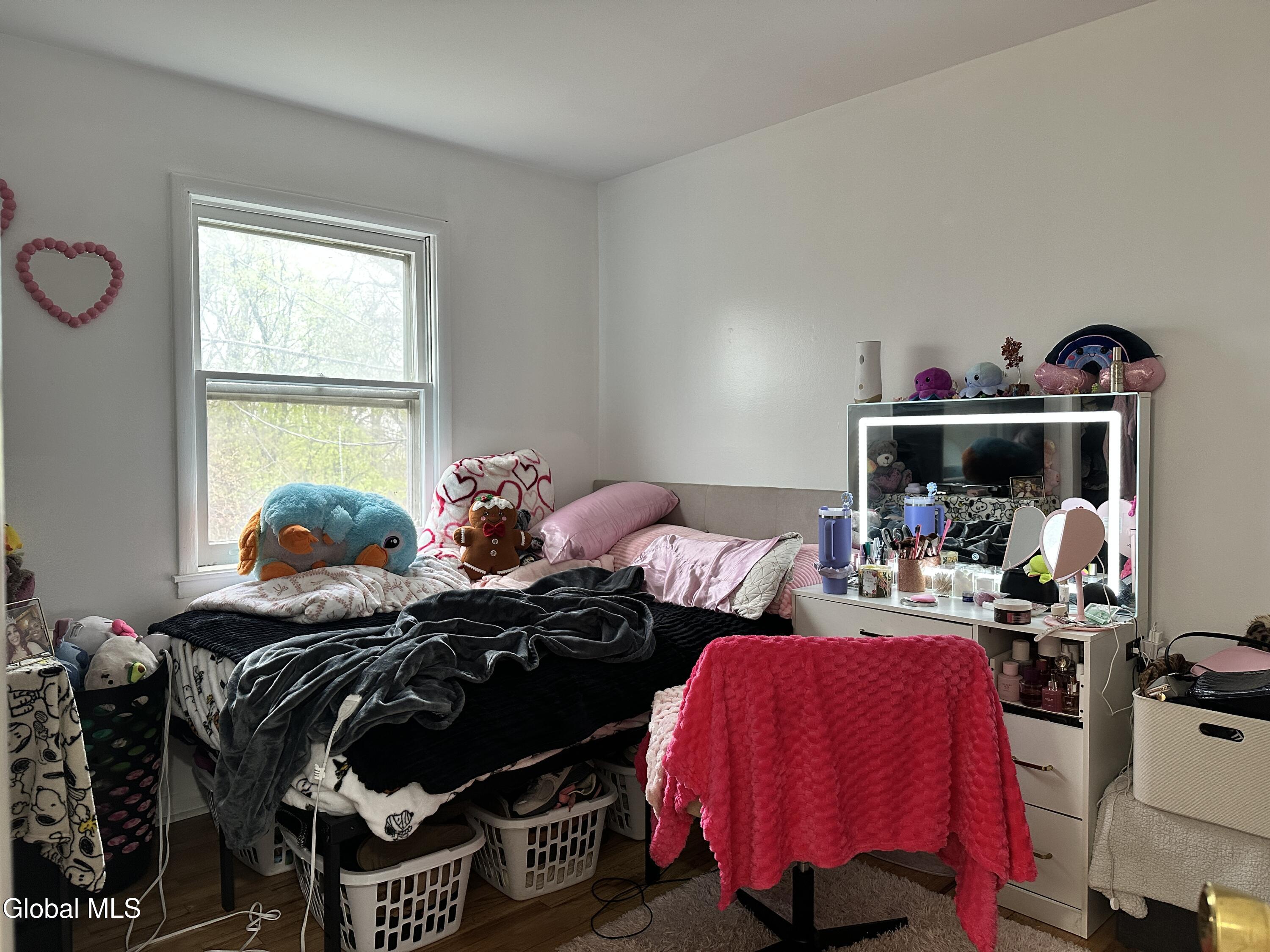 217 Mount Hope Drive Albany NY 12202