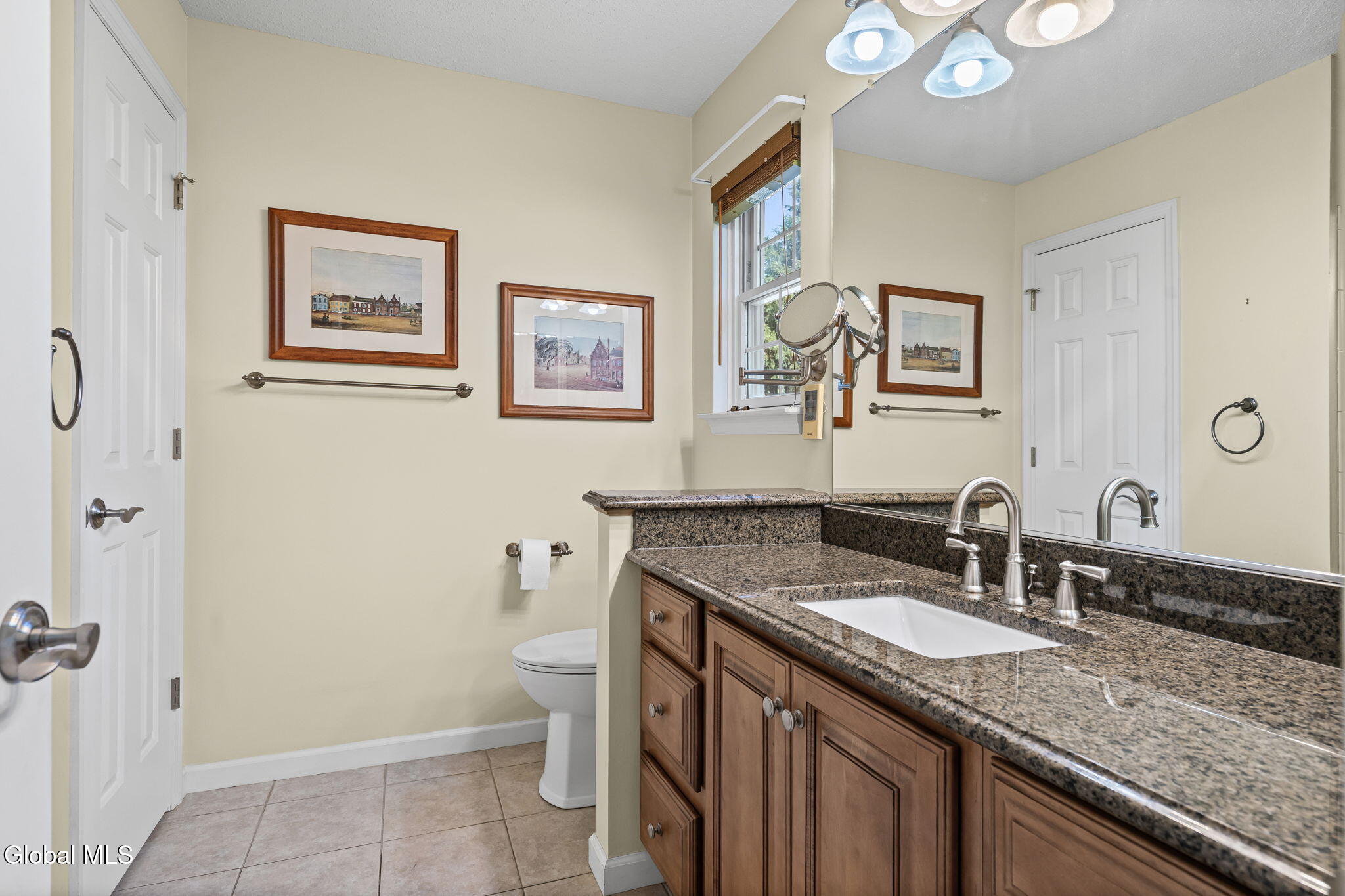 8 Sedgewyck Drive Delmar NY 12054