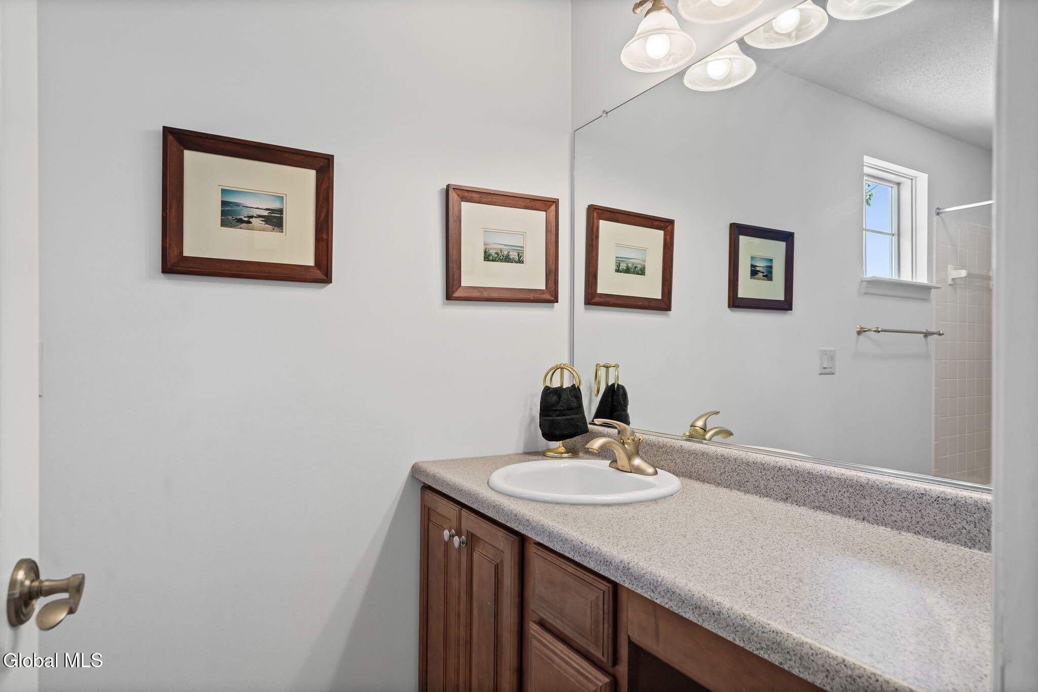 8 Sedgewyck Drive Delmar NY 12054