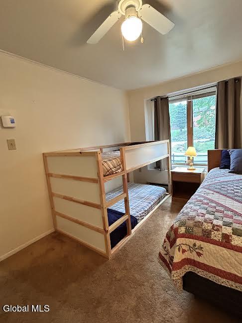 26 Freebern Road North Creek NY 12853
