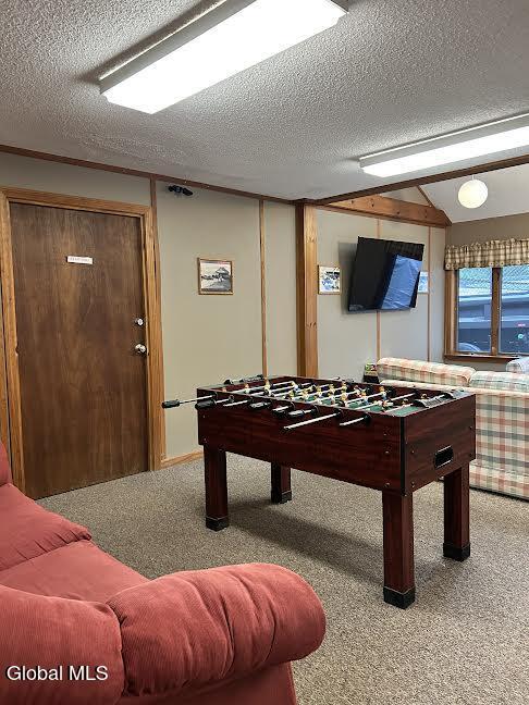 26 Freebern Road North Creek NY 12853