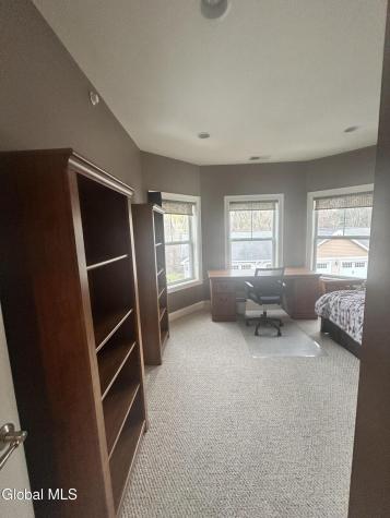 504 Kelly Circle Altamont NY 12009