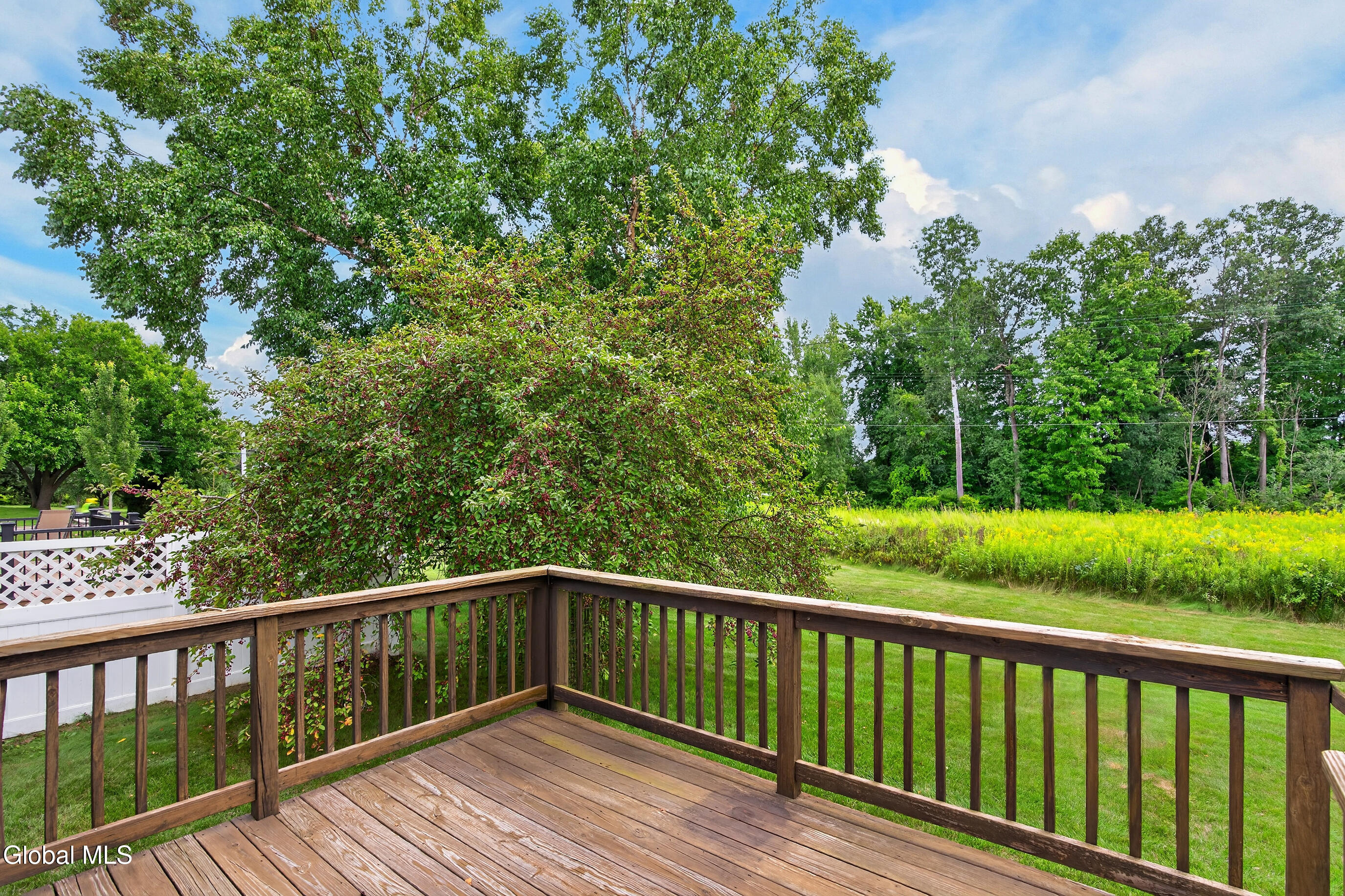 8 Dalton Court Delmar NY 12054