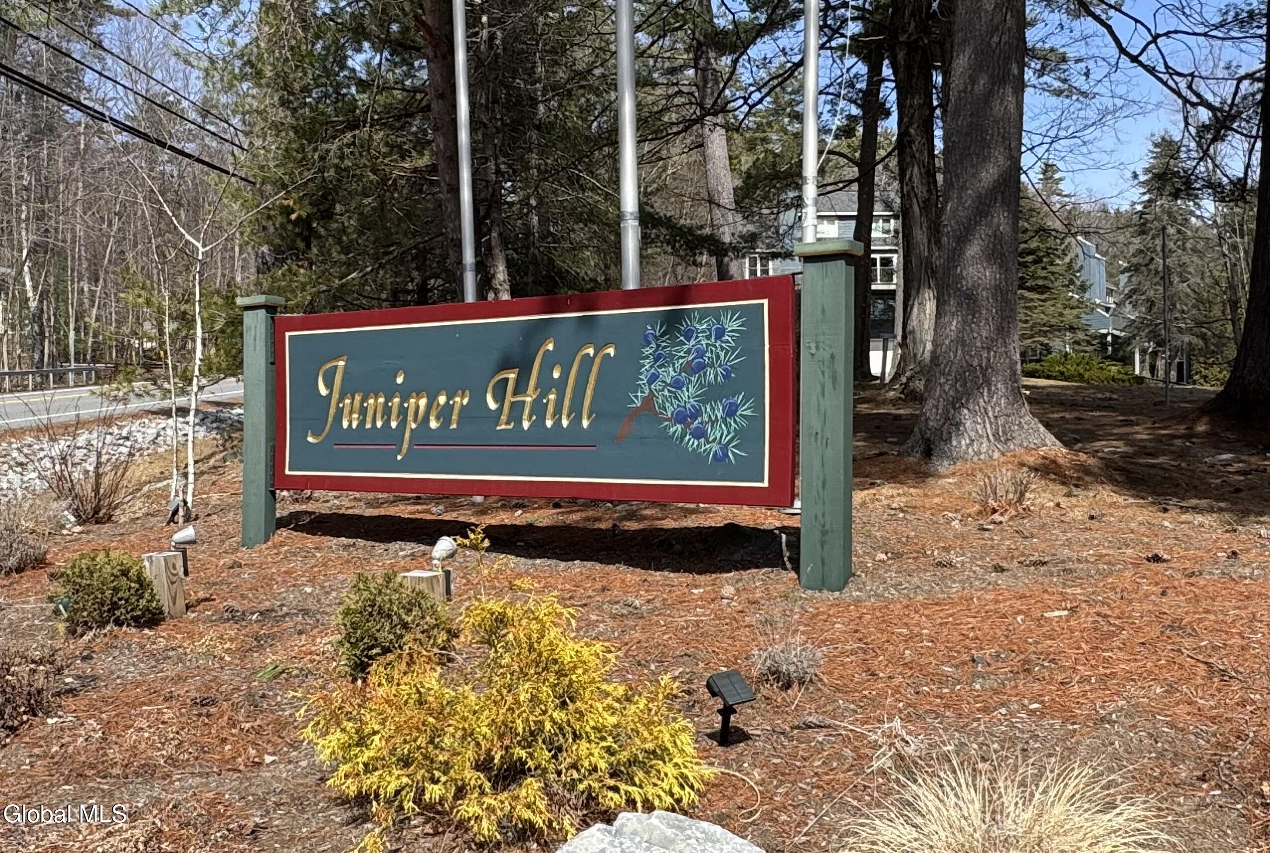 21 Juniper Hill Drive Bolton Landing NY 12814