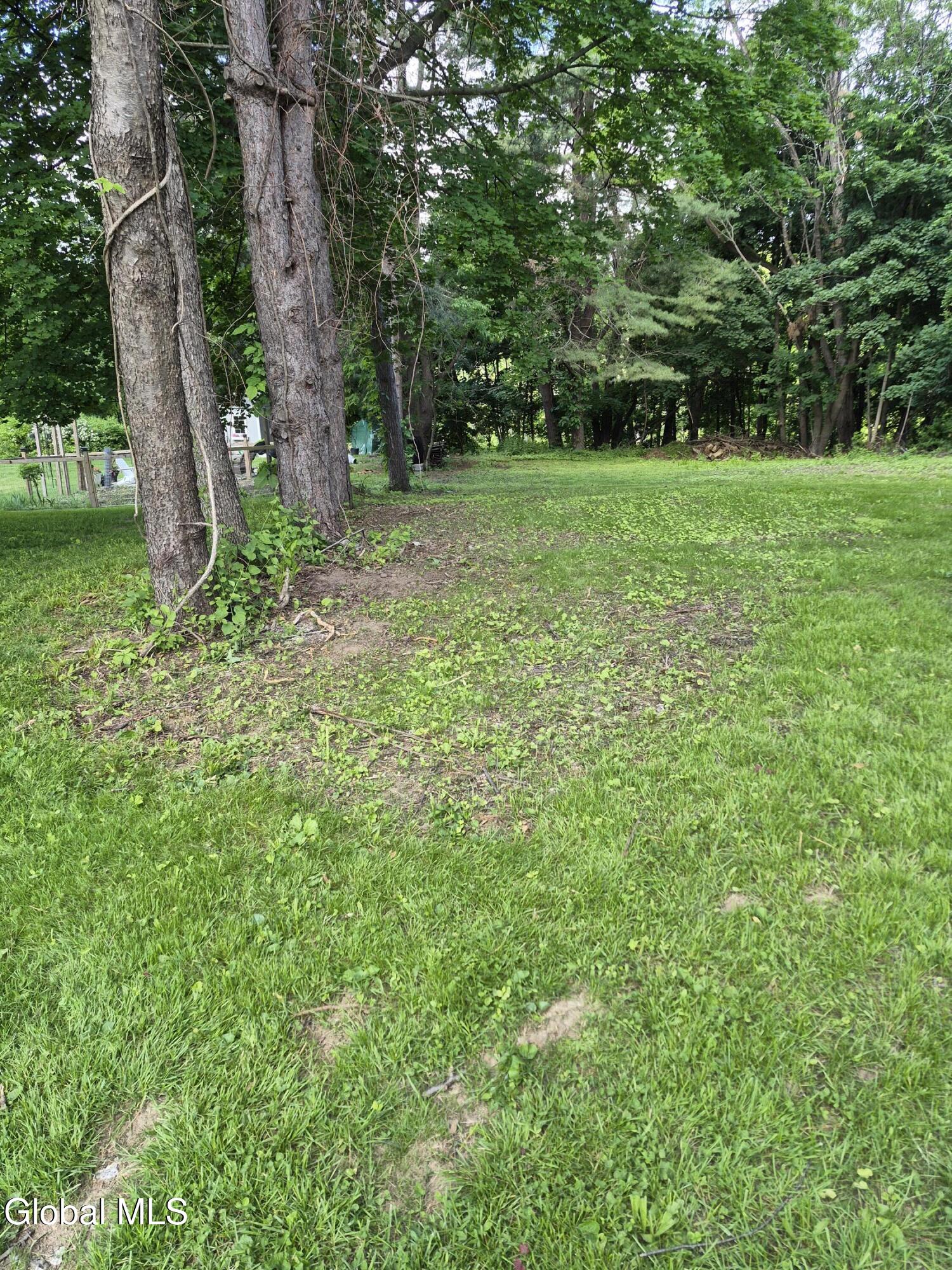 14 Lynch Avenue Castleton On Hudson NY 12033