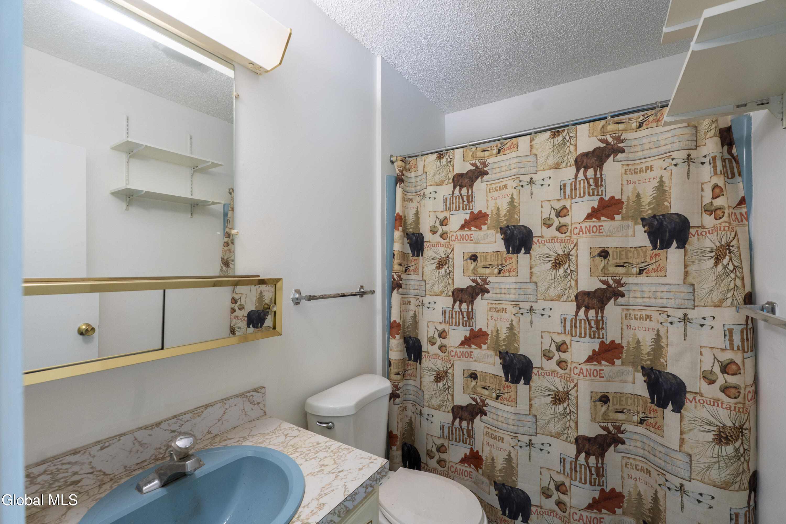 4 B High Pines Terrace Chestertown NY 12817