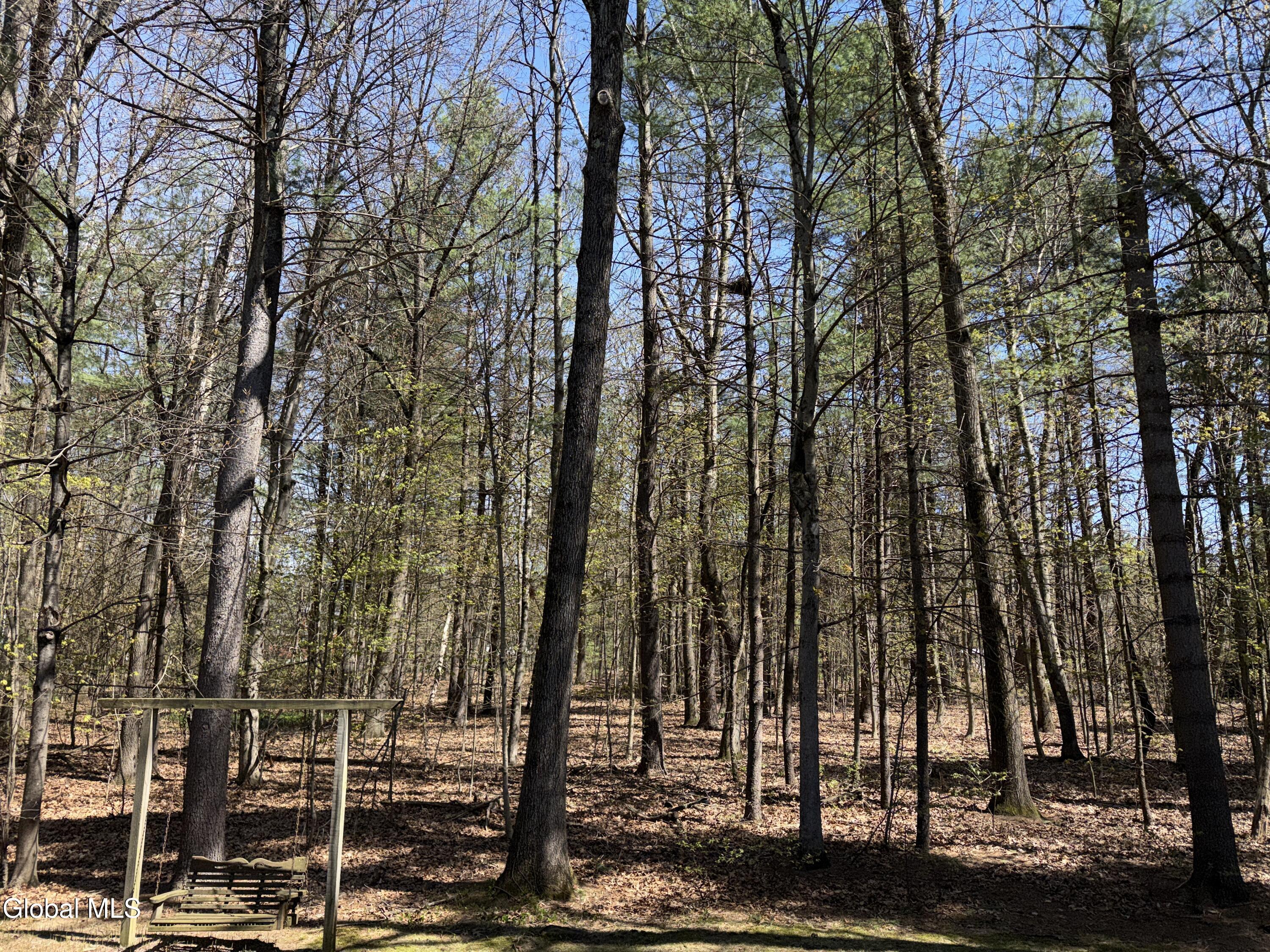 3 Donegal Way Saratoga Springs NY 12866