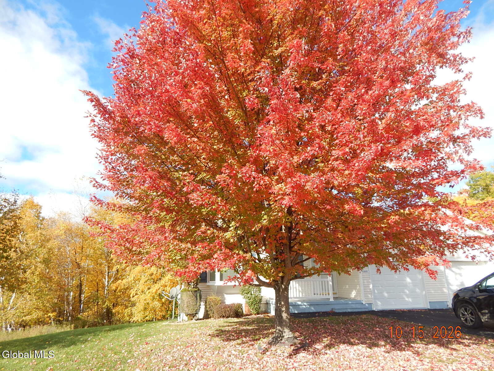 269 Skyview Drive Greenville NY 12083