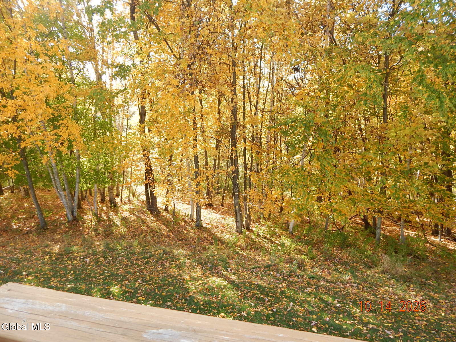 269 Skyview Drive Greenville NY 12083