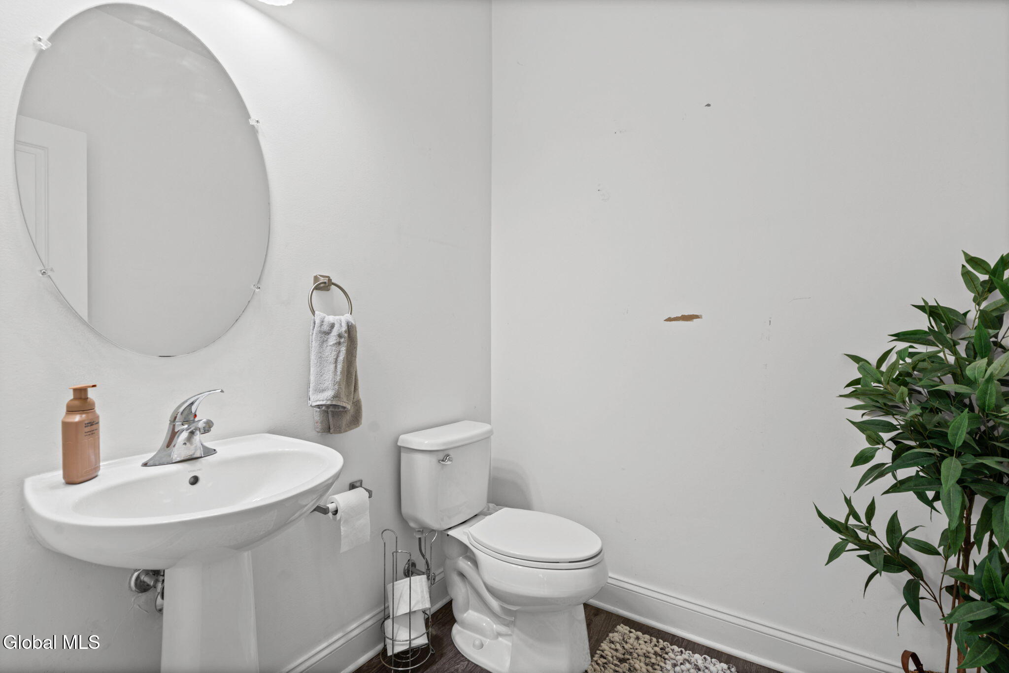 24 Reutter Drive Selkirk NY 12158