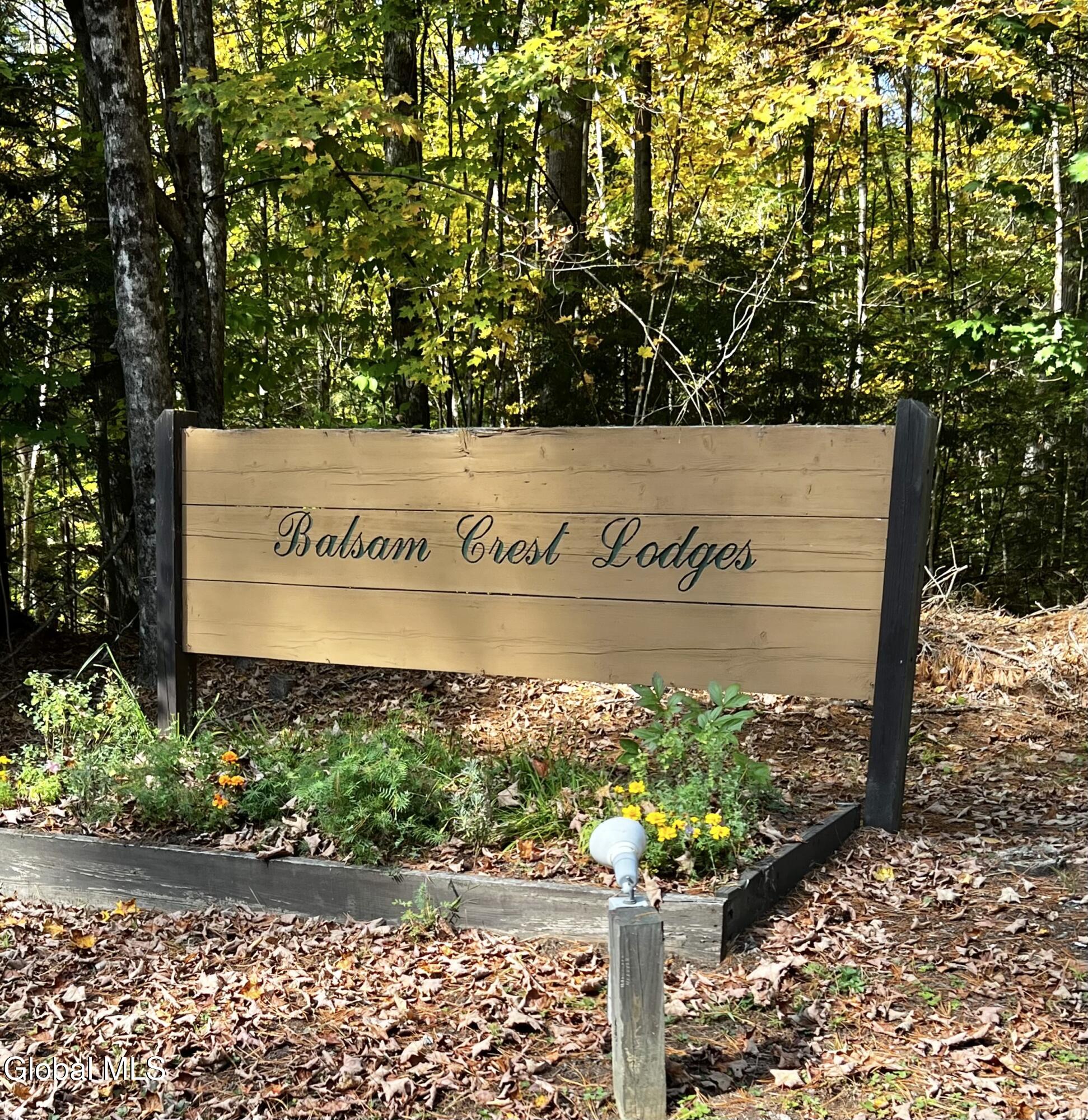 24 Balsam Crest Path Warrensburg NY 12817