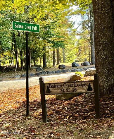 24 Balsam Crest Path Warrensburg NY 12817