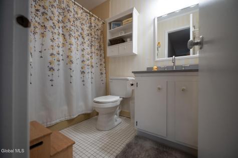 17 Spruce Court Delmar NY 12054