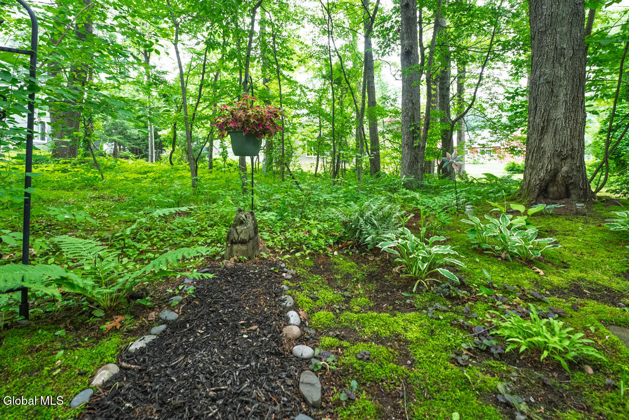 17 Spruce Court Delmar NY 12054