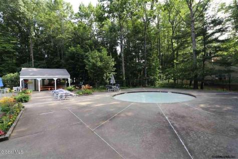 17 Spruce Court Delmar NY 12054