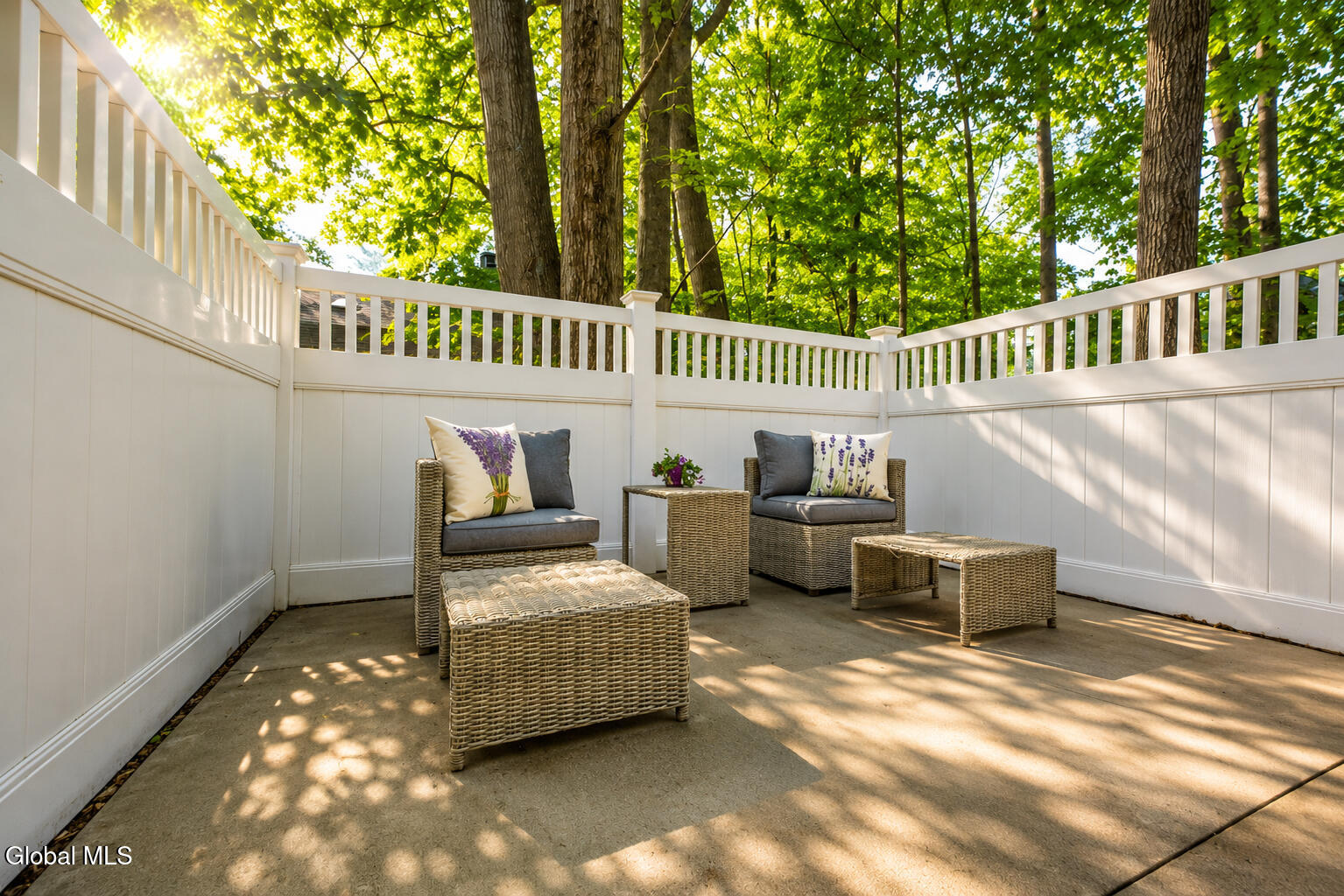 17 Spruce Court Delmar NY 12054