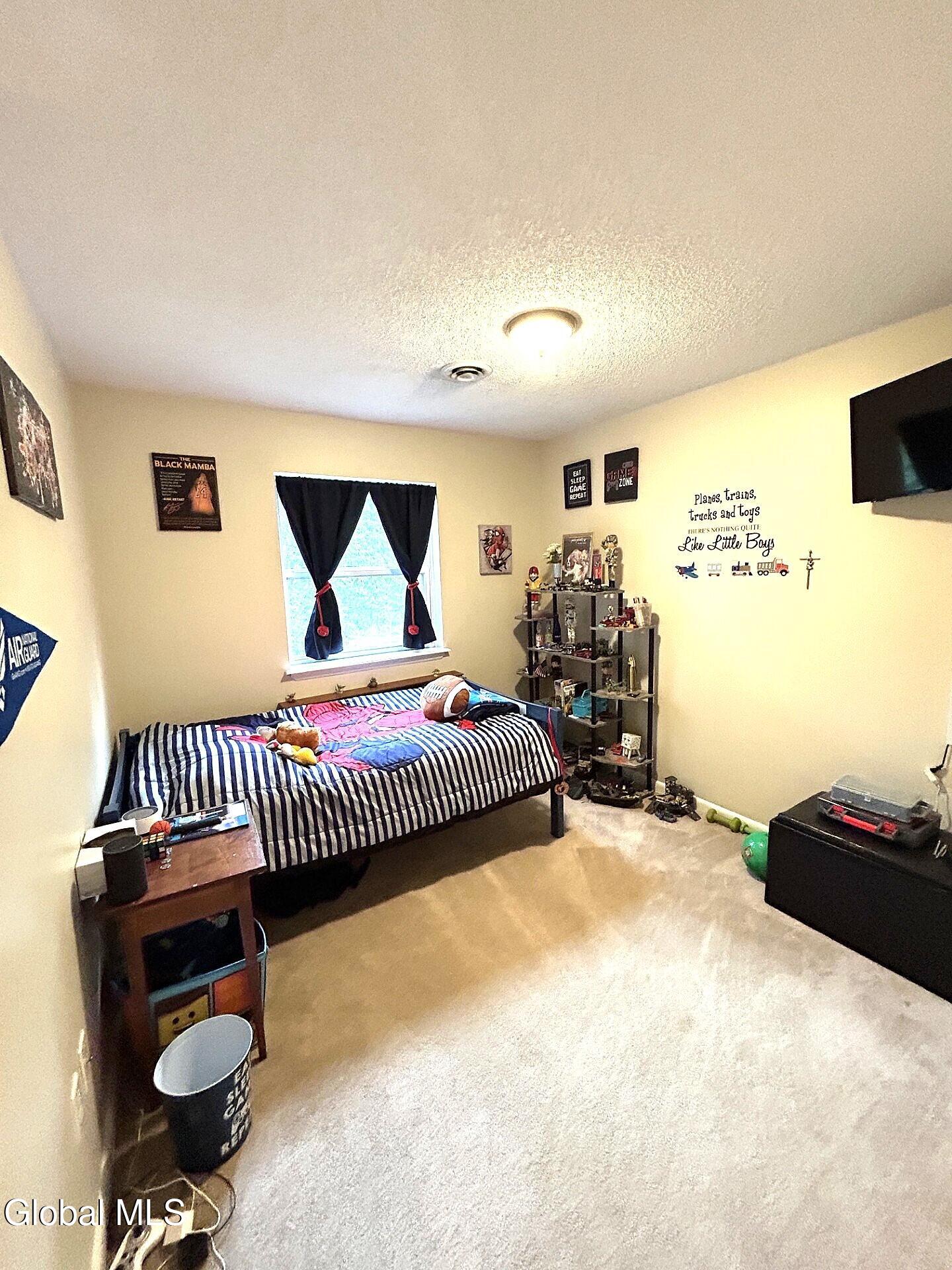 307 Cambridge Manor Drive Scotia NY 12302